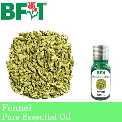 Pure Essential Oil (EO) - Fennel Essential Oil - 10ml