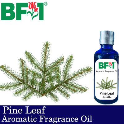 Aromatic Fragrance Oil (AFO) - Pine Leaf - 50ml Aromatic Fragrance Oil (AFO) - Pine Leaf - 50ml