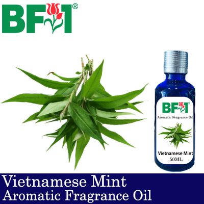 Aromatic Fragrance Oil (AFO) - Vietnamese Mint - 50ml
