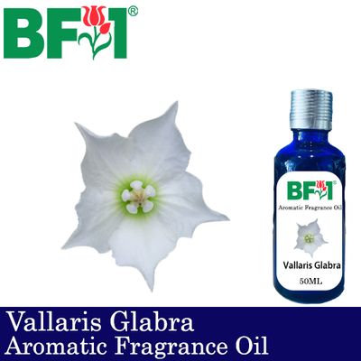 Aromatic Fragrance Oil (AFO) - Vallaris Glabra - 50ml