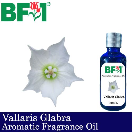Aromatic Fragrance Oil (AFO) - Vallaris Glabra - 50ml