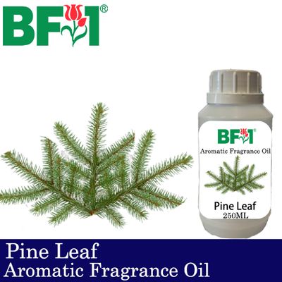 Aromatic Fragrance Oil (AFO) - Pine Leaf - 250ml Aromatic Fragrance Oil (AFO) - Pine Leaf - 250ml