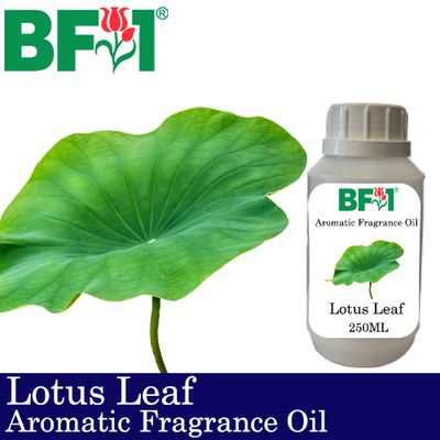 Aromatic Fragrance Oil (AFO) - Lotus Leaf - 250ml Aromatic Fragrance Oil (AFO) - Lotus Leaf - 250ml