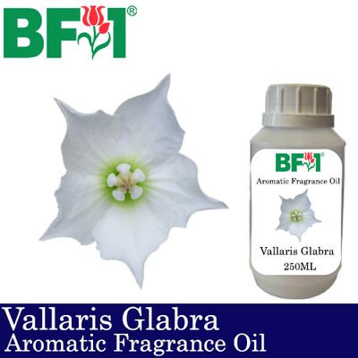 Aromatic Fragrance Oil (AFO) - Vallaris Glabra - 250ml