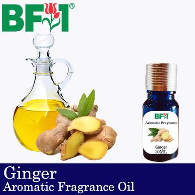 Aromatic Fragrance Oil (AFO) - Ginger - 10ml