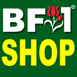 BF1 Shop