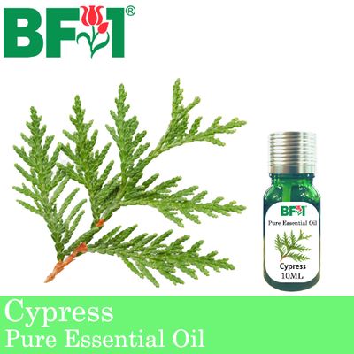 Pure Essential Oil (EO) - Cypress Essential Oil - 10ml