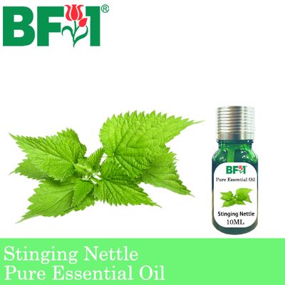 Pure Essential Oil (EO) - Stinging Nettle Essential Oil - 10ml