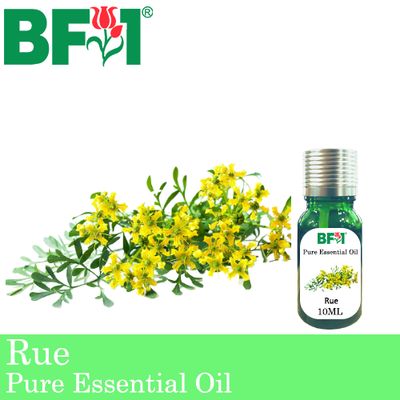 Pure Essential Oil (EO) - Rue ( Ruta Graveolens ) Essential Oil - 10ml