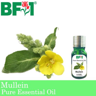 Pure Essential Oil (EO) - Mullein Essential Oil - 10ml