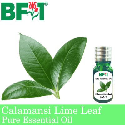Pure Essential Oil (EO) - Lime - Calamansi Lime Leaf Essential Oil - 10ml