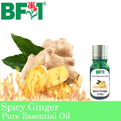 Pure Essential Oil (EO) - Ginger - Spicy Ginger Essential Oil - 10ml