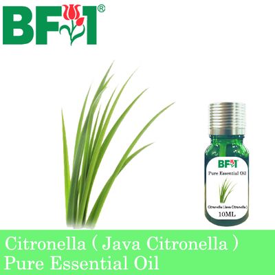 Pure Essential Oil (EO) - Citronella ( Java Citronella ) Essential Oil - 10ml