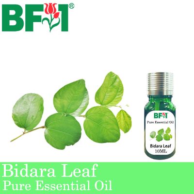 Pure Essential Oil (EO) - Bidara Leaf (Zizyphus Mauritiana ) Essential Oil - 10ml