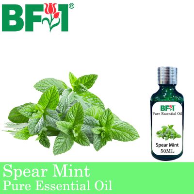 Pure Essential Oil (EO) - Mint - Spear Mint Essential Oil - 50ml