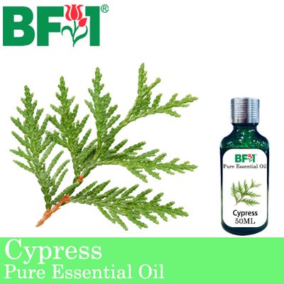 Pure Essential Oil (EO) - Cypress Essential Oil - 50ml