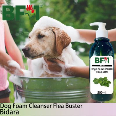 Dog Foam Cleanser Flea Buster (DFC-Dog) - Bidara - 500ml ⭐⭐⭐⭐⭐