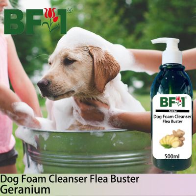 Dog Foam Cleanser Flea Buster (DFC-Dog) - Ginger - 500ml ⭐⭐⭐⭐⭐