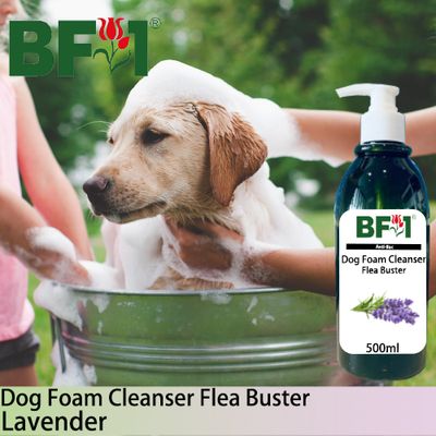 Dog Foam Cleanser Flea Buster (DFC-Dog) - Lavender - 500ml ⭐⭐⭐⭐⭐