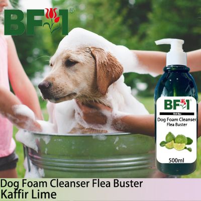 Dog Foam Cleanser Flea Buster (DFC-Dog) - lime - Kaffir Lime - 500ml ⭐⭐⭐⭐⭐