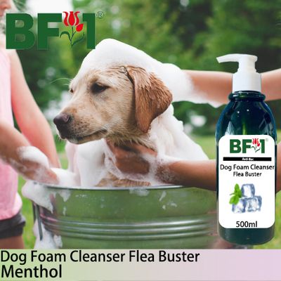 Dog Foam Cleanser Flea Buster (DFC-Dog) - Menthol - 500ml ⭐⭐⭐⭐⭐