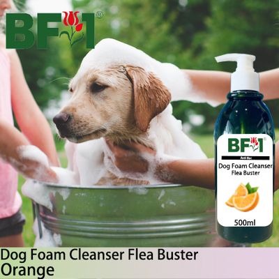 Dog Foam Cleanser Flea Buster (DFC-Dog) - Orange - 500ml ⭐⭐⭐⭐⭐