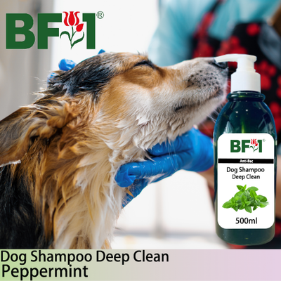 Dog Shampoo Deep Clean (DSDC-Dog) - mint - Peppermint - 500ml ⭐⭐⭐⭐⭐ Dog Shampoo Deep Clean (DSDC-Dog) - mint - Peppermint - 500ml ⭐⭐⭐⭐⭐