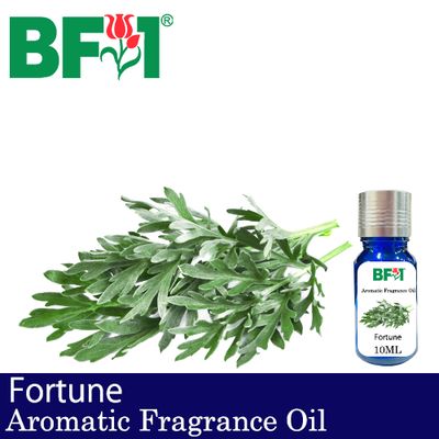Aromatic Fragrance Oil (AFO) - Wormwood - 10ml