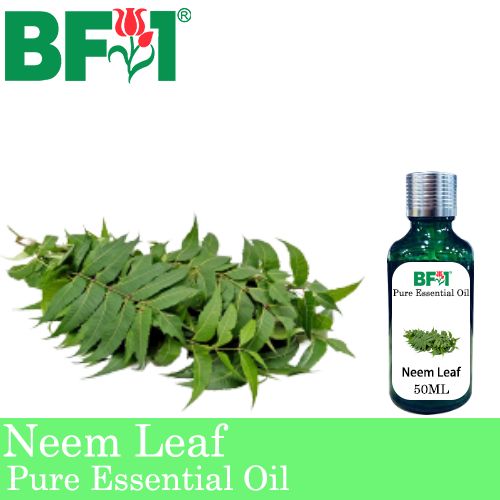 Pure Essential Oil (EO) - Neem Leaf Essential Oil - 50ml