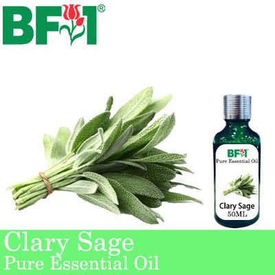 Pure Essential Oil (EO) - Clary Sage Essential Oil - 50ml
