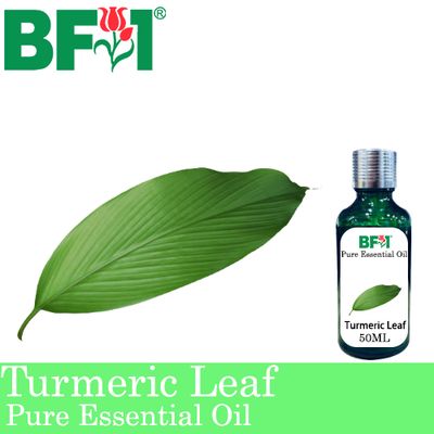 Pure Essential Oil (EO) - Turmeric Leaf Essential Oil - 50ml