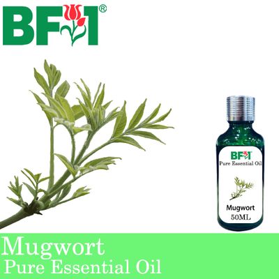 Pure Essential Oil (EO) - Mugwort Essential Oil - 50ml