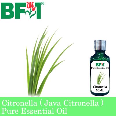 Pure Essential Oil (EO) - Citronella ( Java Citronella ) Essential Oil - 50ml