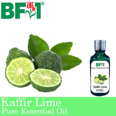 Pure Essential Oil (EO) - Lime - Kaffir Lime Essential Oil - 50ml