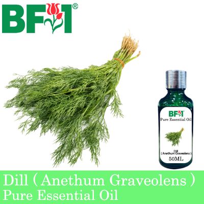 Pure Essential Oil (EO) - Dill ( Anethum Graveolens ) Essential Oil - 50ml