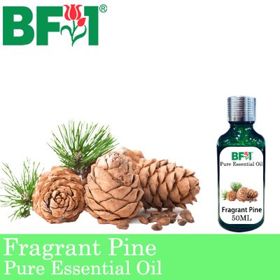 Pure Essential Oil (EO) - Pine - Fragrant Pine Essential Oil - 50ml