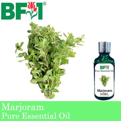 Pure Essential Oil (EO) - Marjoram Essential Oil - 50ml