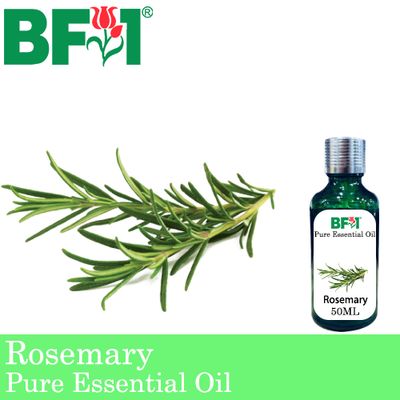 Pure Essential Oil (EO) - Rosemary Essential Oil - 50ml
