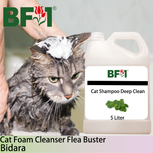 Cat Shampoo Deep Clean (CSDC-Cat) - Bidara - 5L ⭐⭐⭐⭐⭐ Cat Shampoo Deep Clean (CSDC-Cat) - Bidara - 5L ⭐⭐⭐⭐⭐