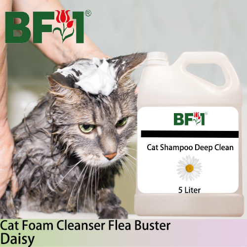 Cat Shampoo Deep Clean (CSDC-Cat) - Daisy - 5L ⭐⭐⭐⭐⭐ Cat Shampoo Deep Clean (CSDC-Cat) - Daisy - 5L ⭐⭐⭐⭐⭐