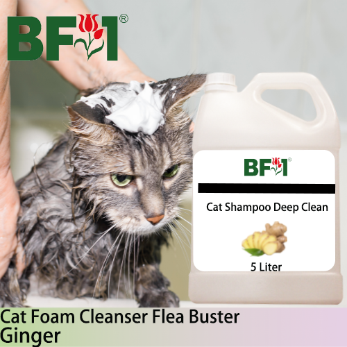 Cat Shampoo Deep Clean (CSDC-Cat) - Ginger - 5L ⭐⭐⭐⭐⭐ Cat Shampoo Deep Clean (CSDC-Cat) - Ginger - 5L ⭐⭐⭐⭐⭐
