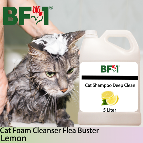 Cat Shampoo Deep Clean (CSDC-Cat) - Lemon - 5L ⭐⭐⭐⭐⭐ Cat Shampoo Deep Clean (CSDC-Cat) - Lemon - 5L ⭐⭐⭐⭐⭐