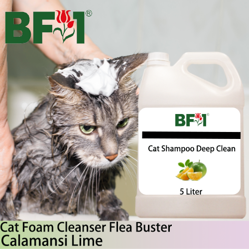 Cat Shampoo Deep Clean (CSDC-Cat) - lime - Calamansi Lime - 5L ⭐⭐⭐⭐⭐ Cat Shampoo Deep Clean (CSDC-Cat) - lime - Calamansi Lime - 5L ⭐⭐⭐⭐⭐