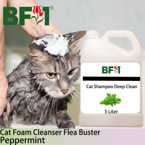 Cat Shampoo Deep Clean (CSDC-Cat) - mint - Peppermint - 5L ⭐⭐⭐⭐⭐ Cat Shampoo Deep Clean (CSDC-Cat) - mint - Peppermint - 5L ⭐⭐⭐⭐⭐