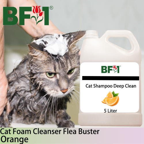 Cat Shampoo Deep Clean (CSDC-Cat) - Orange - 5L ⭐⭐⭐⭐⭐ Cat Shampoo Deep Clean (CSDC-Cat) - Orange - 5L ⭐⭐⭐⭐⭐