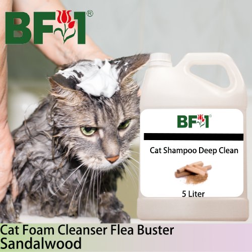 Cat Shampoo Deep Clean (CSDC-Cat) - Sandalwood - 5L ⭐⭐⭐⭐⭐ Cat Shampoo Deep Clean (CSDC-Cat) - Sandalwood - 5L ⭐⭐⭐⭐⭐