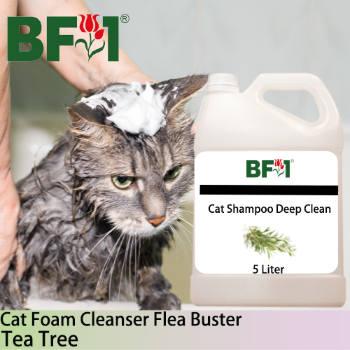 Cat Shampoo Deep Clean (CSDC-Cat) - Tea Tree - 5L ⭐⭐⭐⭐⭐ Cat Shampoo Deep Clean (CSDC-Cat) - Tea Tree - 5L ⭐⭐⭐⭐⭐
