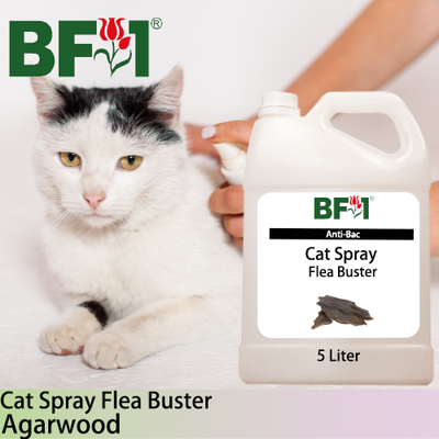 Cat Spray Flea Buster (CSY-Cat) - Agarwood - 5L ⭐⭐⭐⭐⭐ Cat Spray Flea Buster (CSY-Cat) - Agarwood - 5L ⭐⭐⭐⭐⭐