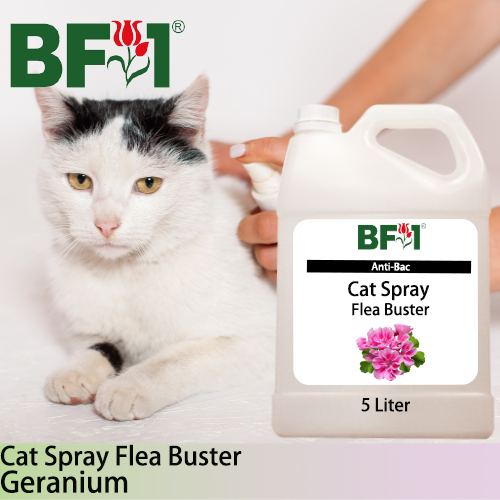 Cat Spray Flea Buster (CSY-Cat) - Geranium - 5L ⭐⭐⭐⭐⭐ Cat Spray Flea Buster (CSY-Cat) - Geranium - 5L ⭐⭐⭐⭐⭐