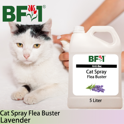 Cat Spray Flea Buster (CSY-Cat) - Lavender - 5L ⭐⭐⭐⭐⭐ Cat Spray Flea Buster (CSY-Cat) - Lavender - 5L ⭐⭐⭐⭐⭐